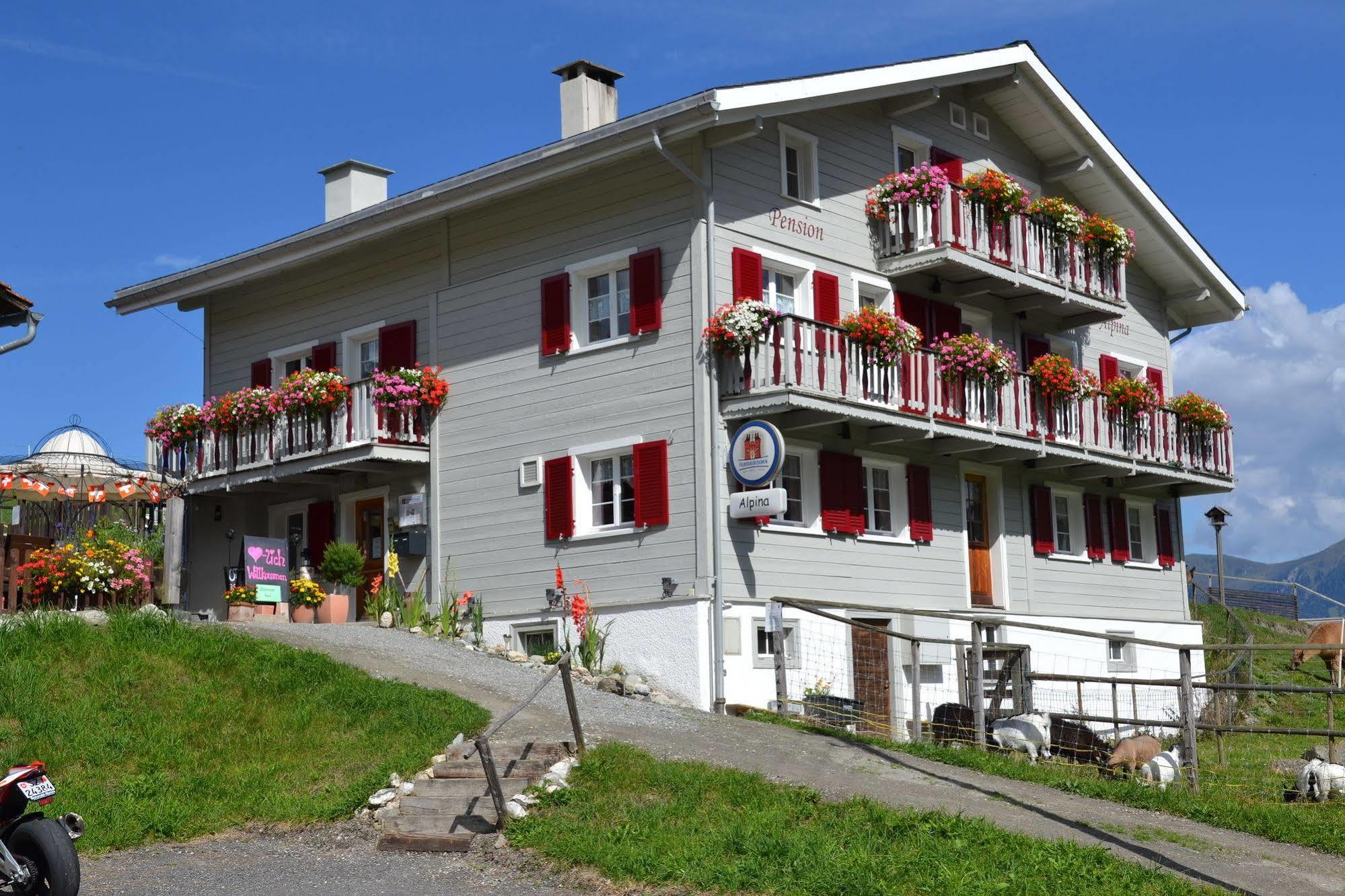 Gasthaus Alpina Tschappina Экстерьер фото