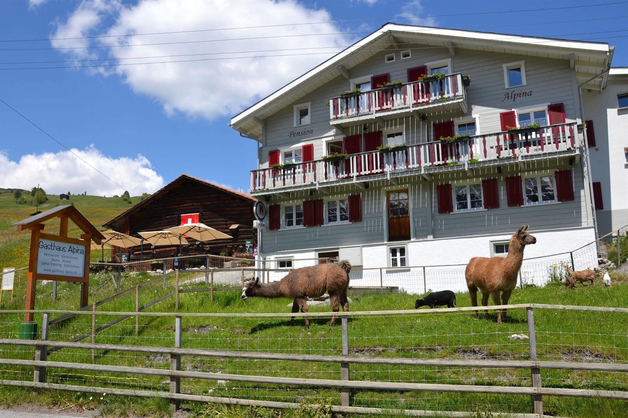 Gasthaus Alpina Tschappina Экстерьер фото