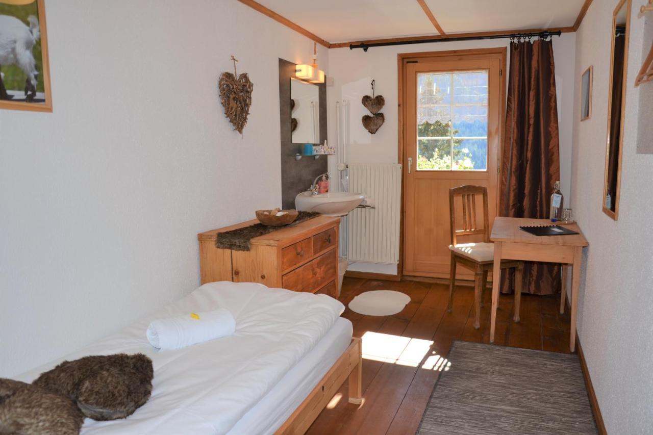 Gasthaus Alpina Tschappina Экстерьер фото